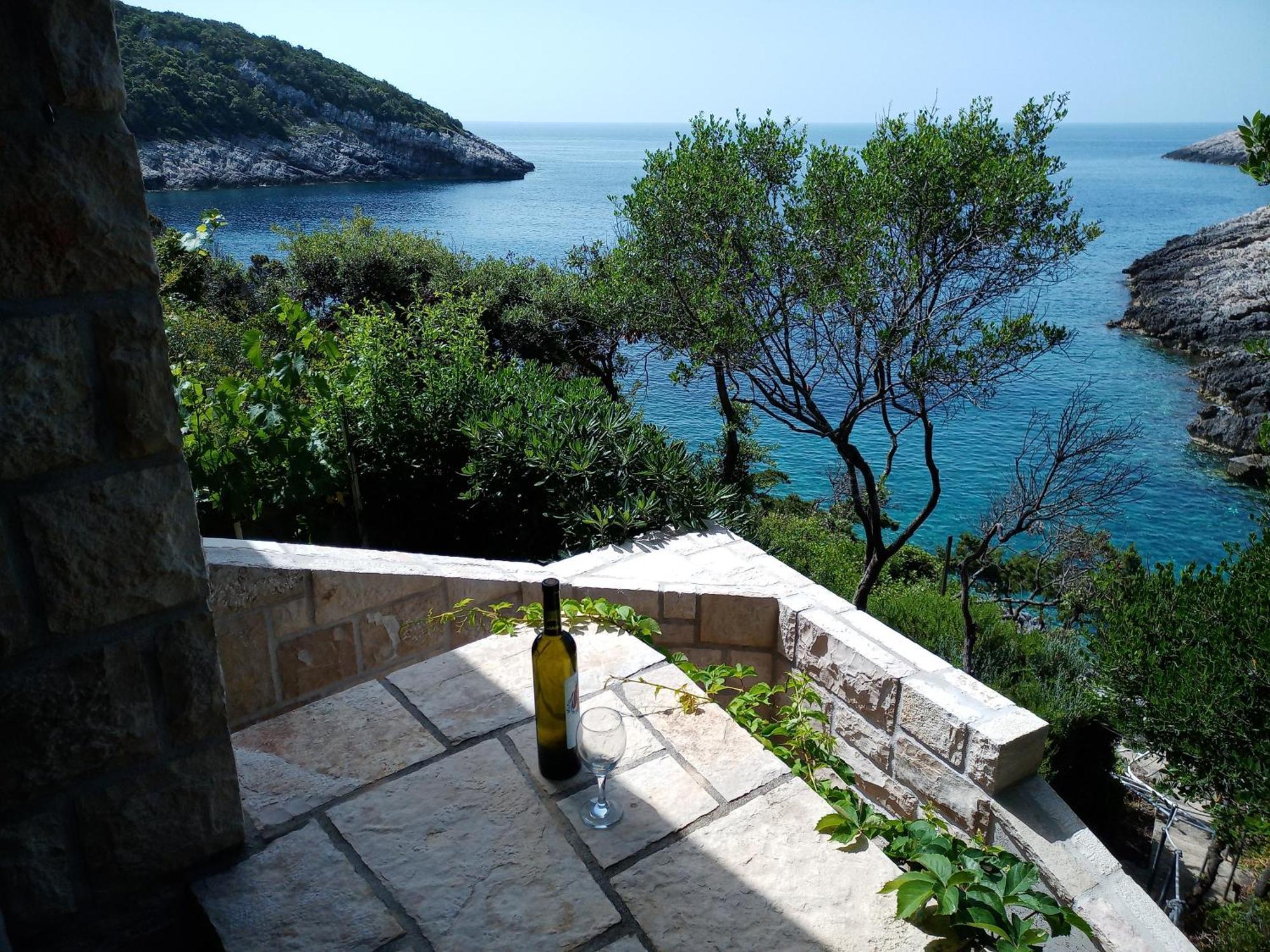 Contessa Robinson House Villa Zrnovo Luaran gambar